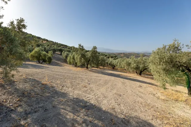 Terreno rural en venta - Alfacar — 18