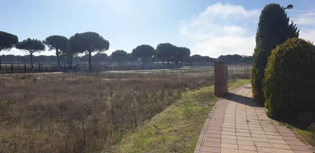 Urbis te ofrece parcelas urbanas en Aldeamayor de San Martín, Valladolid. — 12