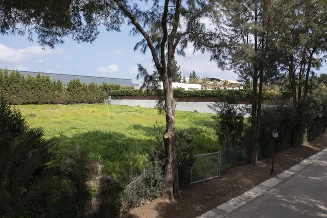 Parcela en venta - Sotogrande - Alto - foto 4