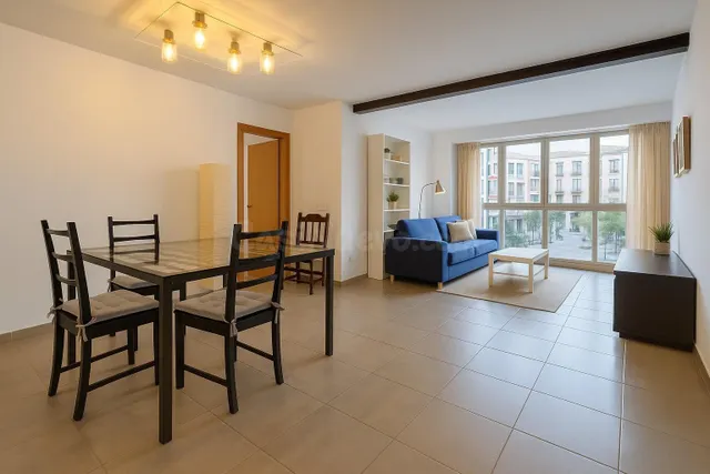 PRIMER PISO CON TERRAZA Y PARKING - ZONA AVENIDAS - foto 2
