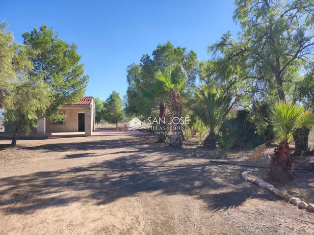 VENTA DE CHALET EN ASPE, ZONA CAMINO VIEJO DE HONDÓN — 2