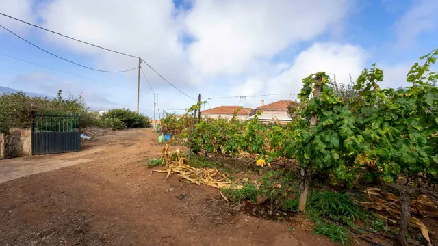 Terreno urbano en Tacoronte. — 13