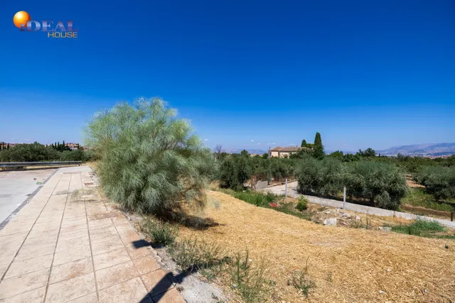 Preciosa parcela con vistas a la sierra — 11