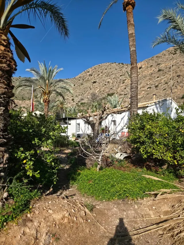 Casa con Piscina Privada y Amplias Posibilidades de Ampliación en Orihuela — 40