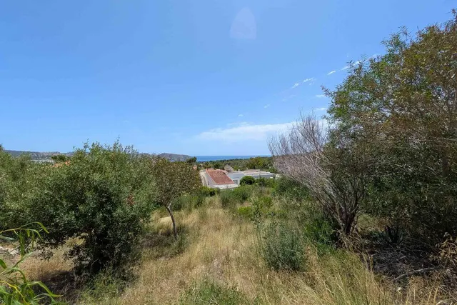 Parcela en venta - La Viña - Montemar - San Jaime — 13