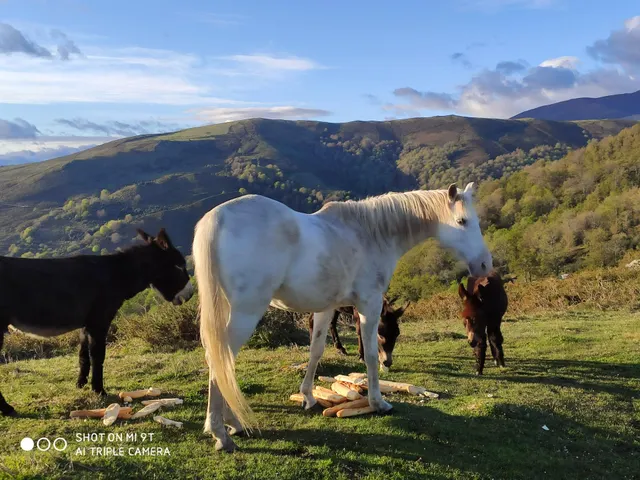 Casa señorial con encanto en el Valle de Cabuérniga — 28