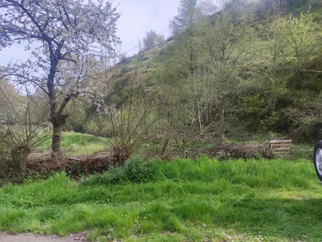 OPORTUNIDAD , CASA DE PIEDRA CON TERRENO A LADO DEL RIO EN SAN ESTEBAN DE VALDUEZA — 38