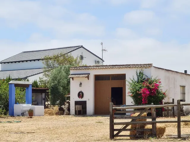 Espectacular finca de 19.000 m2 con 2 casas en Moguer (Huelva) — 8