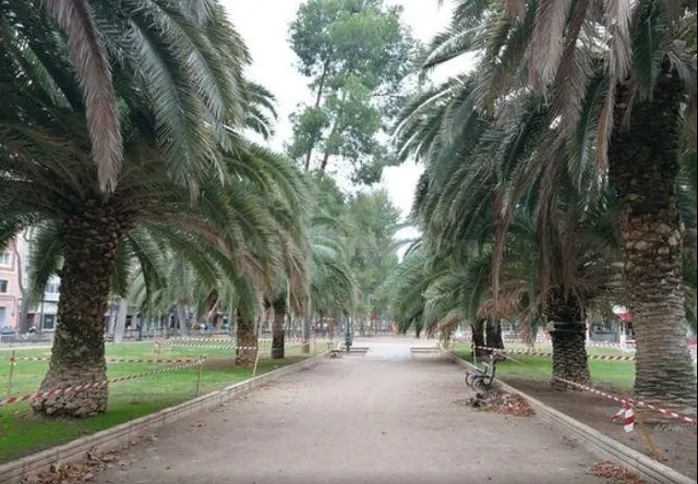Alquiler de piso amueblado en Paseo Cuéllar, listo para entr