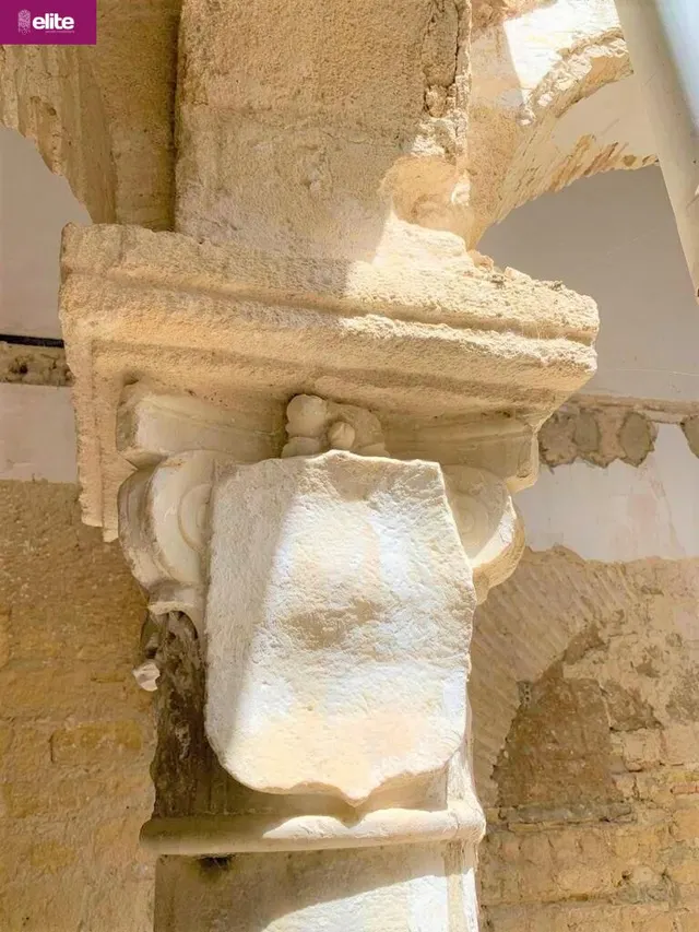OPORTUNIDAD DE INVERSION MAGNIFICO PALACETE SEÑORIAL  EN EL CENTRO — 15