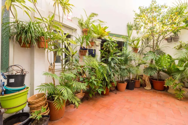 Entresuelo 3 habitaciones 104m² en venta - Carolinas bajas — 8