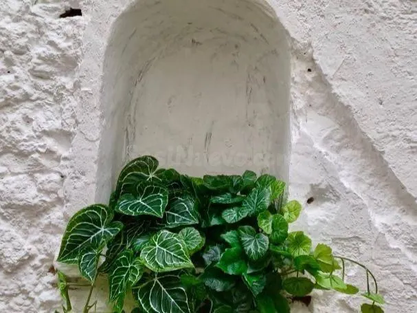 Se vende planta baja en Almussafes, Valencia — 39