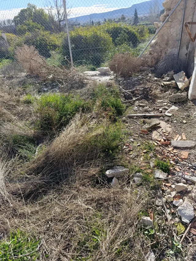 TERRENO UBICADO EN ZONA CENTRICA DE MULA — 2
