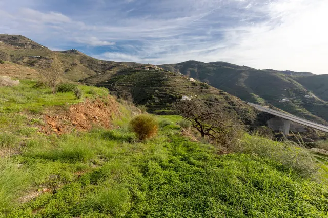 Finca en Ítrabo - Almuñecar — 6