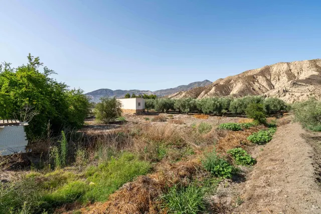 Terreno con Cortijo en Alsodux — 17