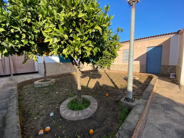 MAJANEQUE - Solar de 850 m2 con casa de unos 200m2 - Agua po - foto 4