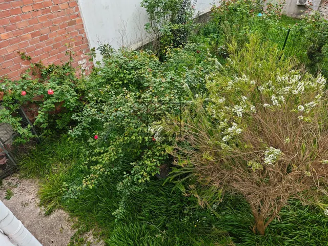 Casa con jardín y garaje en Porta Nova, Ferrol — 13