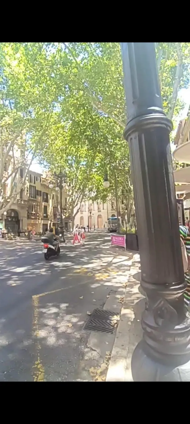 Espectacular Dúplex Ático Zona La Rambla — 9