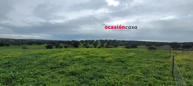 CASA DE CAMPO EN EL VISO DE LOS PEDROCHES — 11