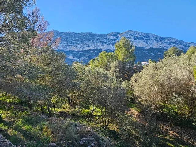 Terreno en venta cerca del Montgó — 12