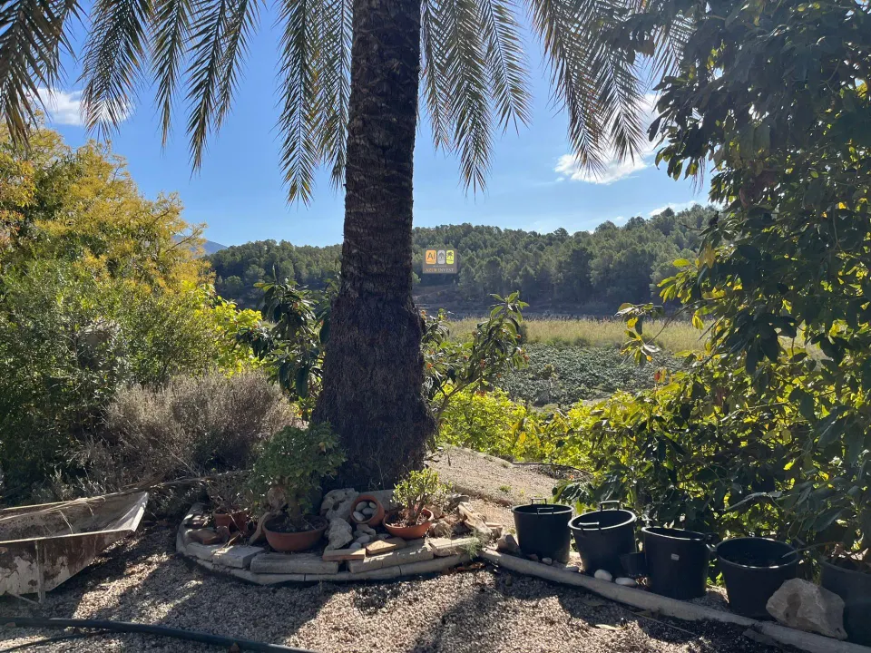 CASA CON TERRENO ( Callosa De Ensarriá)