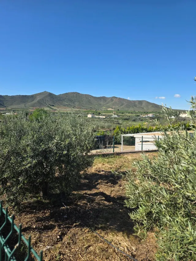 Casa con finca rústica reformada en la tranquila zona de El  - foto 3