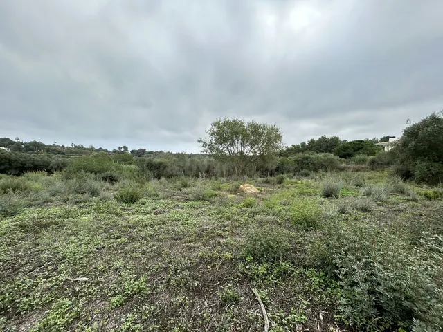 Parcela 1444m² en venta - Sotogrande Costa - foto 4