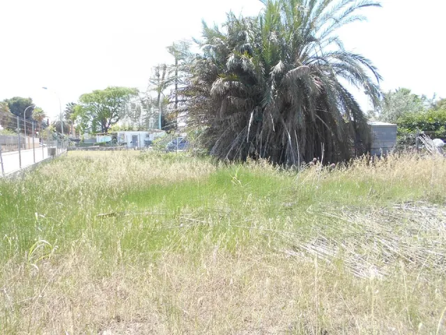 Solar en venta - Oliva, Zona de - Oliva - foto 4