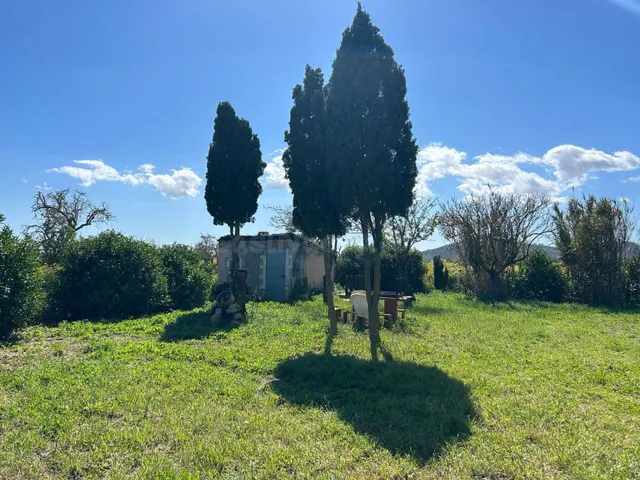 Huerto en venta a las afueras de Porreres - foto 3