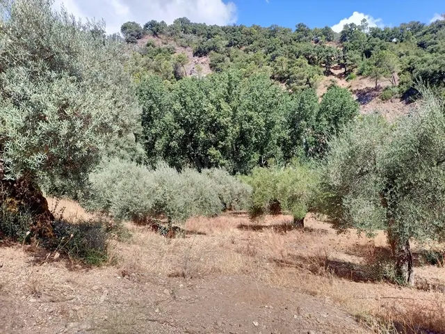 Casa de campo-Masía en Venta en Benastepal Málaga — 54