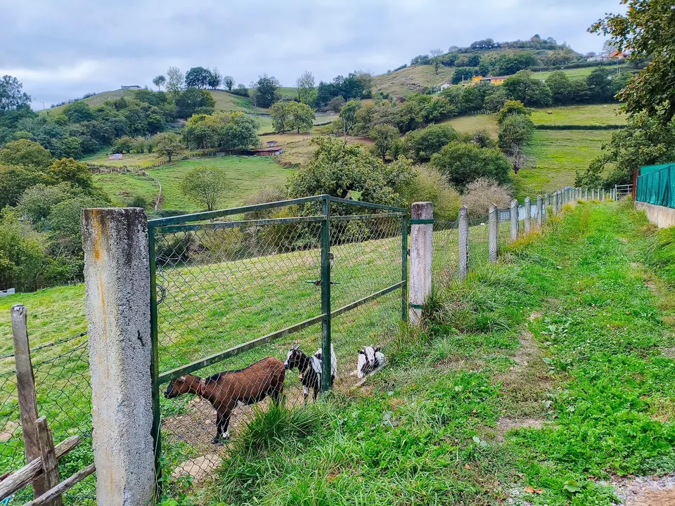 Finca edificable de 2.065 m2 en Olloniego, con vistas a la montaña