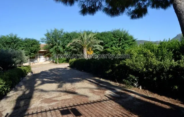 Excelente Finca con caballerizas en El Palmar (Murcia) - foto 5