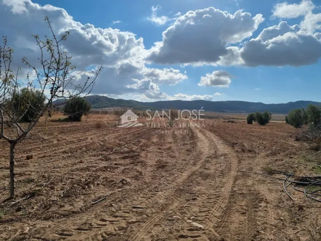 SE VENDE PARCELA EN CAÑADA DE LA LEÑA (ABANILLA) MURCIA - foto 2
