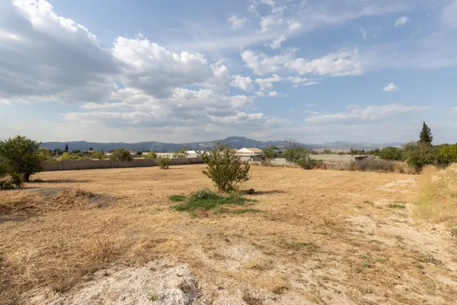Terreno rural en venta - LOS TABLAZOS - foto 2