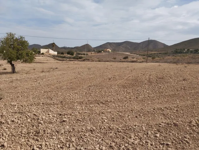 Parcela con licencia y proyecto en Lorca - Zona Purias — 7