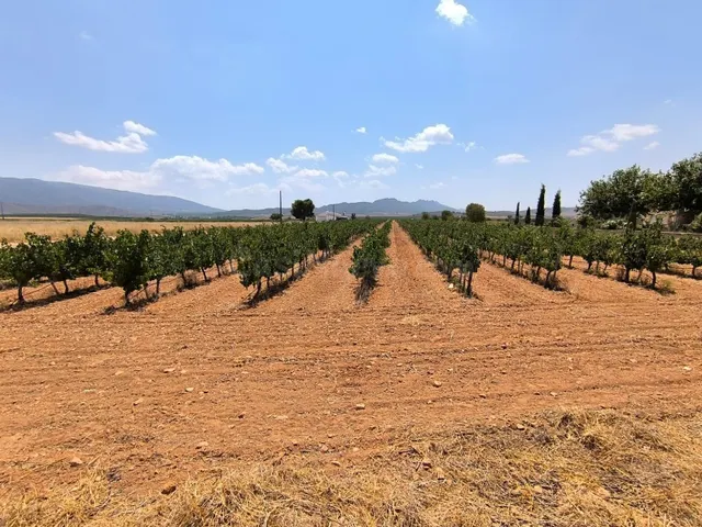 Parcela en venta - Ayuntamiento
