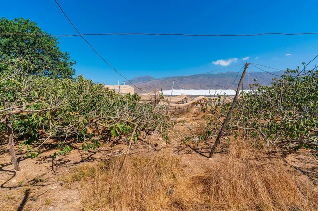 FINCA RÚSTICA EN EL EJIDO JUNTO AL POLIGONO CIAVIEJA - foto 4