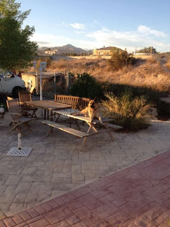 Venta casa campo!! — 4