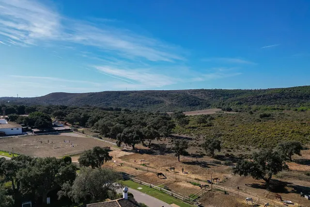 Chalet 4 habitaciones 276m² en venta - Sotogrande Costa — 7