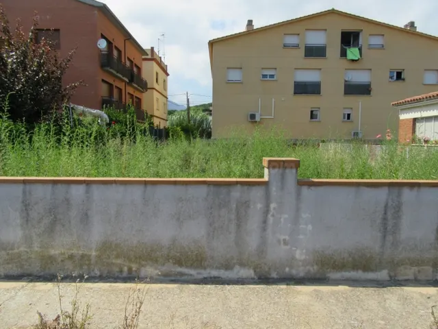 RIELLS I VIABREA (PUEBLO): SOLAR URBANO APTO PARA MÁXIMO 3 V - foto 5
