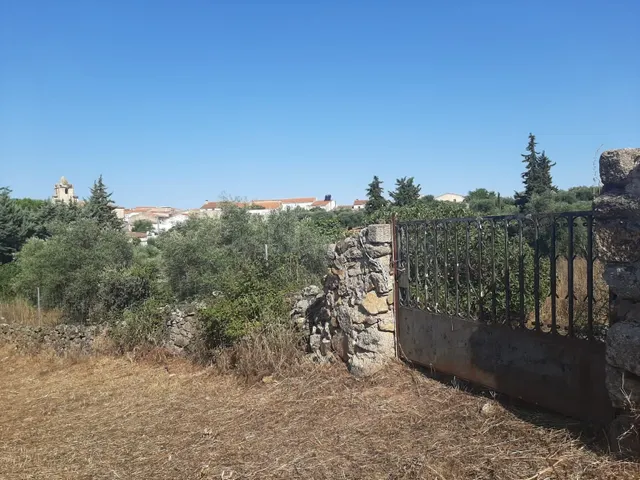 Parcela muy próxima al pueblo de Casas de Don Antonio