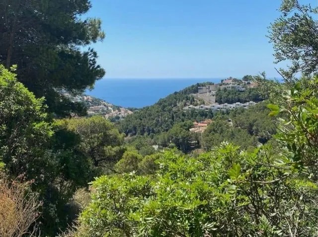 Vistas al mar,2 terrenos juntos en ALTEA se puede hace 2 chalets, en venta OPORTUNIDAD! — 5