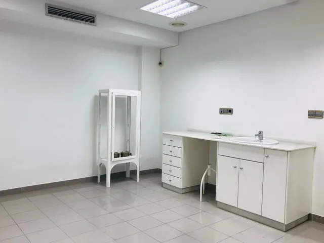 ENTRESUELO COMERCIAL EN DOCTOR CARO — 8