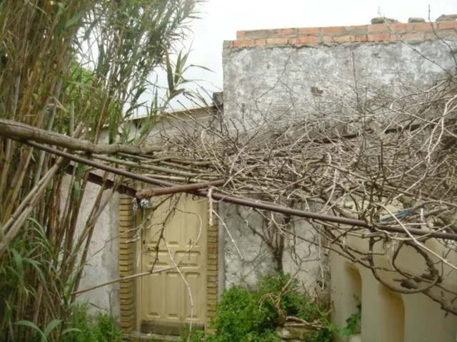 Se vende finca ceca de Tarifa — 10