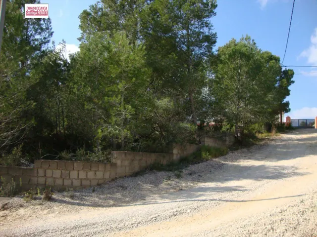 VENTA DE PARCELA EN CATADAU — 2