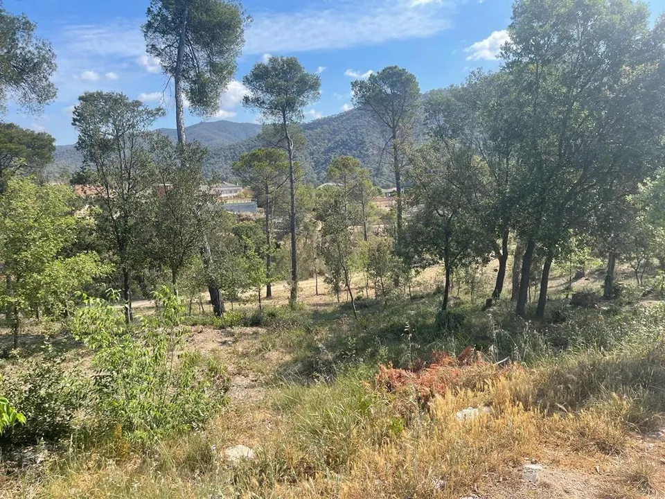TERRENO EN CA L´ANTON