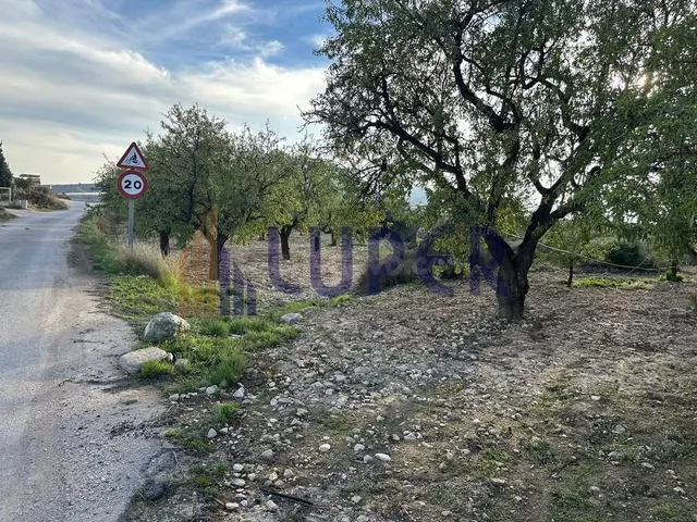Finca Rústica en Agost - foto 4