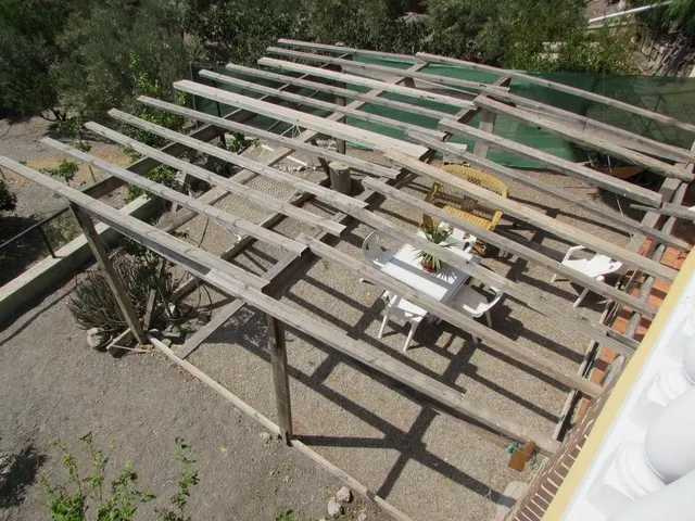 Venta de casa de campo en la zona venta san felipe, Águilas — 7