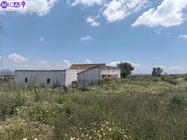 En venta: 3 hectareas con casa y nave en el Pago de la Guant - foto 3