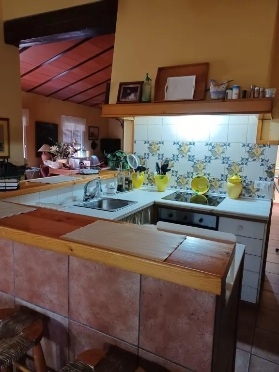 Magnífica casa de campo con piscina y vistas a Moguer, en finca de casi 15.000 m2 — 9